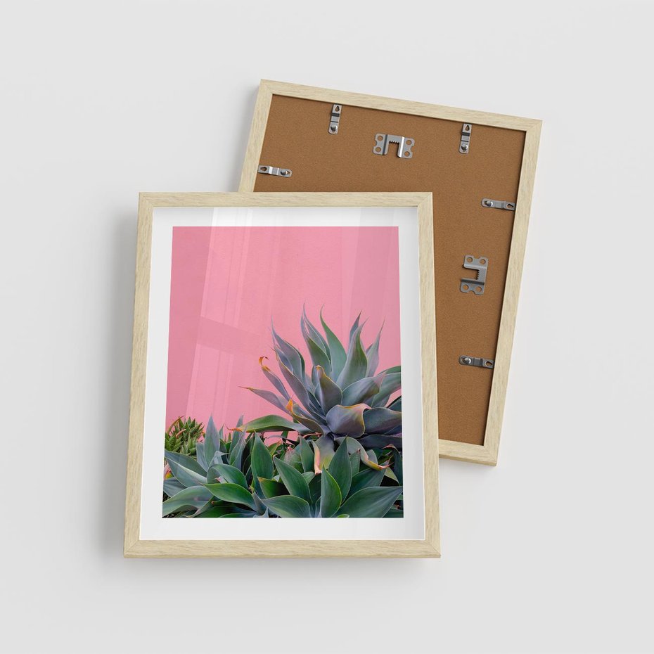 Plakat w ramie 40x50 - Tropikalne Liście na Różowej Ścianie - różowa ściana, tropikalne liście na jej tle - rama drewno