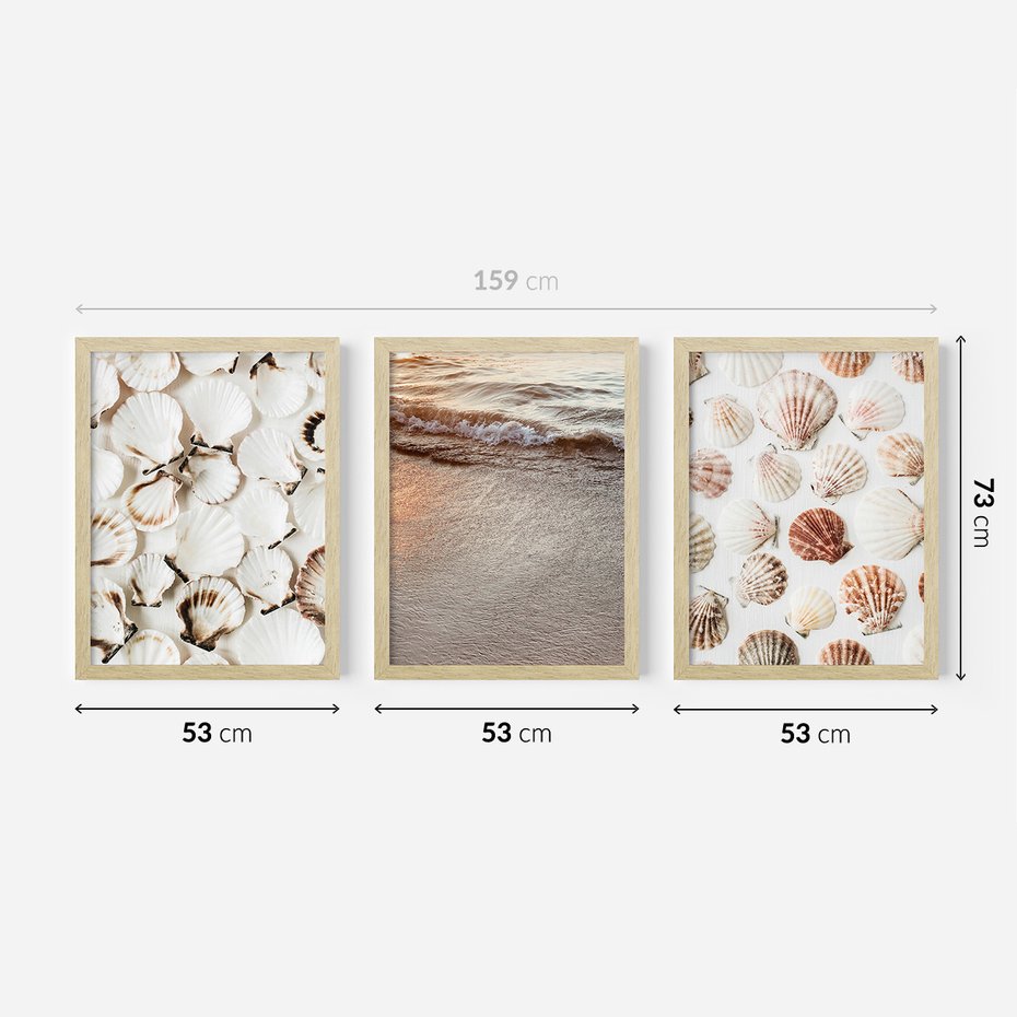 Zestaw obrazy w ramie 50x70 galeria - Morze, muszla, zachód, słońca - rama drewno