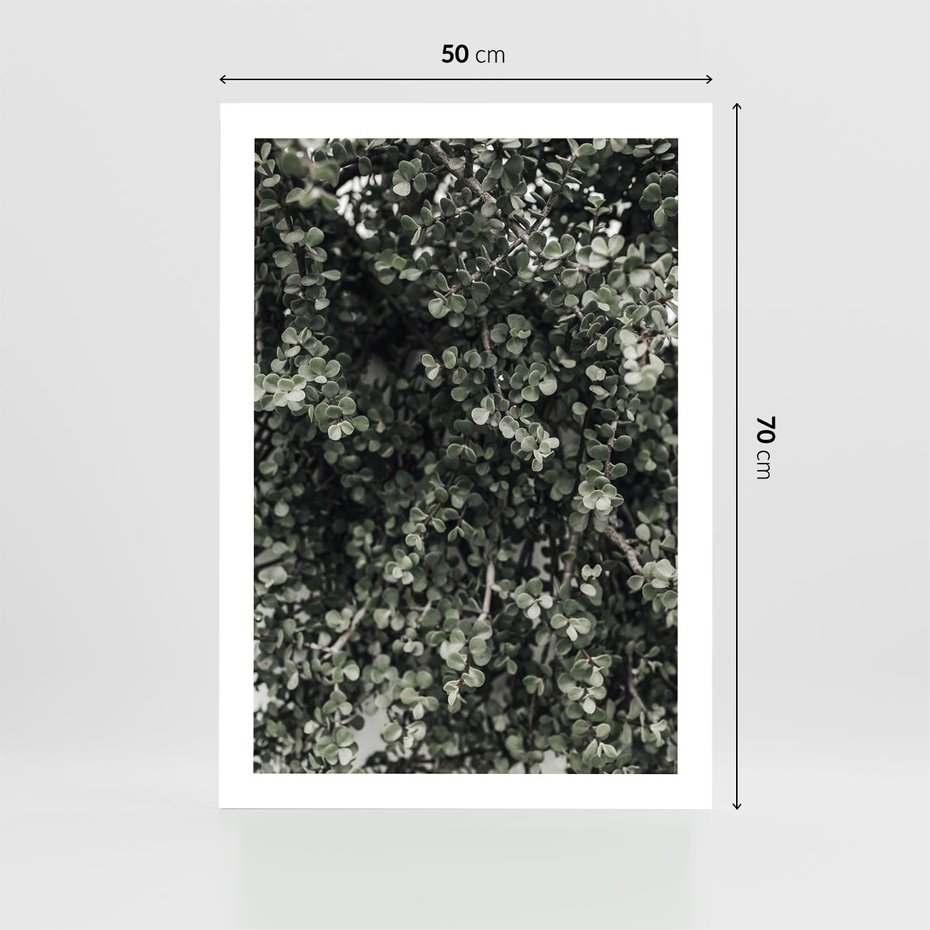 Plakat bez ramy 50x70 - Jasnozielone Liście i Gałązki - liście, gałązki