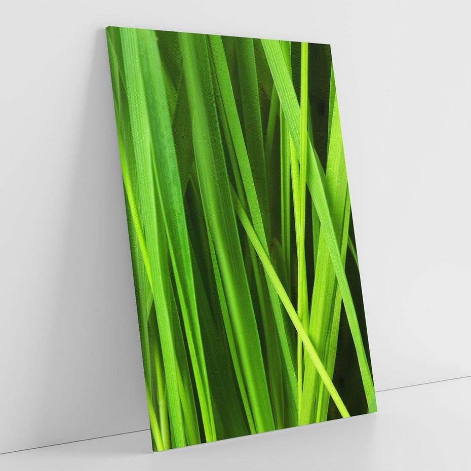 Obraz na płótnie 50x70 - Trawa w abstrakcji: natura przekształcona - trawa, abstrakcja