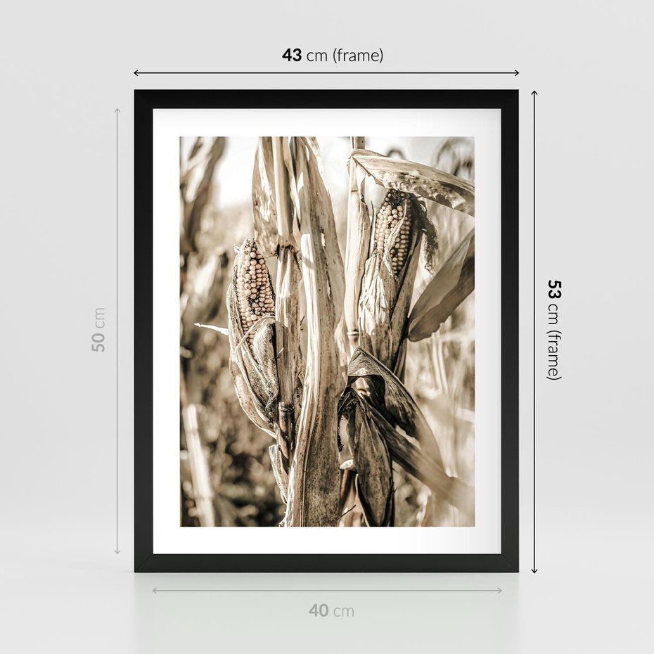 Plakat w ramie 40x50 - Retro Pole Kukurydzy - retro zdjęcie, sepia - rama czarna