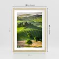 Plakat w ramie 30x40 - Prowansja: malownicze winnice w kraju Włoch - Prowansja, Włochy - rama drewno