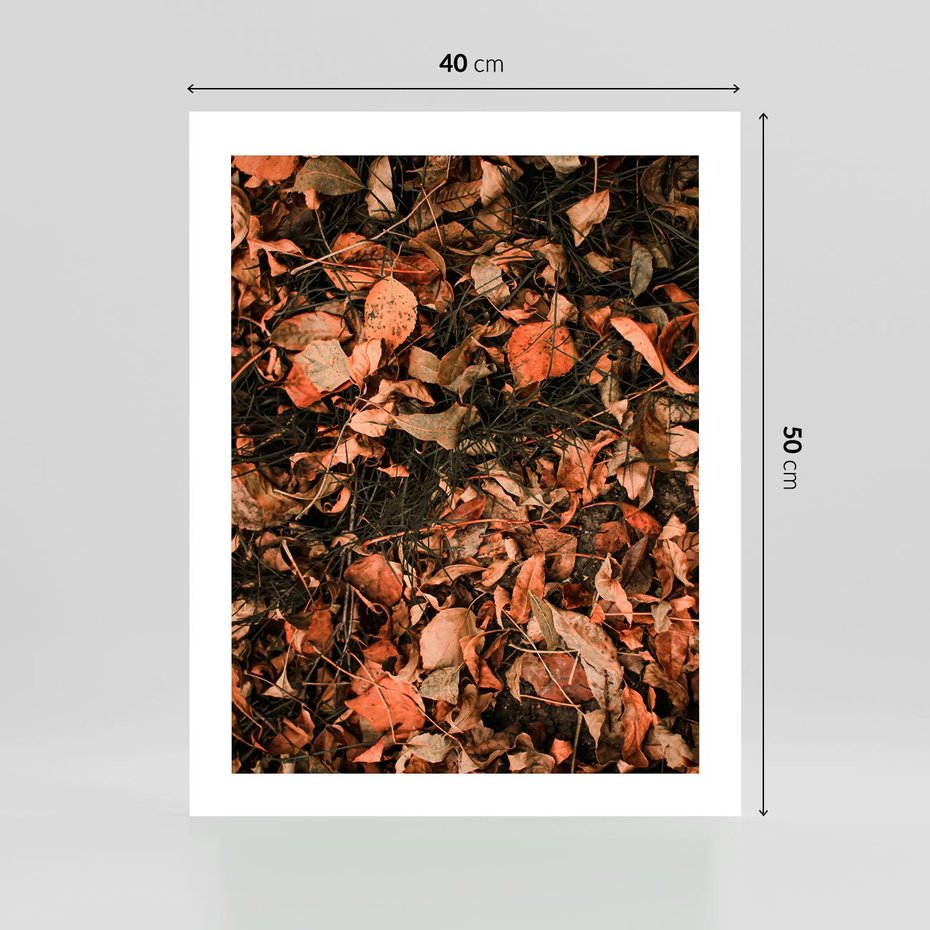 Plakat bez ramy 40x50 - Jesienny Splot: Pomarańczowe Liście - liście, pomarańczowe suche liście