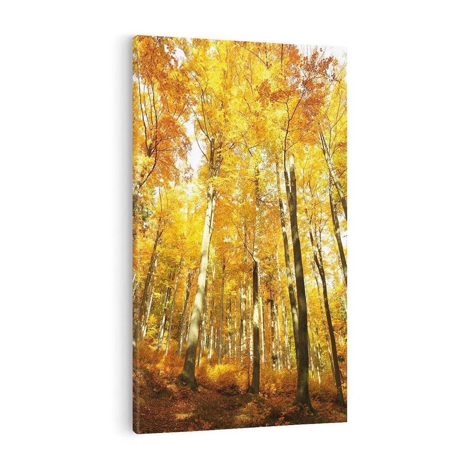 Obraz na płótnie 50x70 - Jesienny Las - Kolorowa Paleta Natury - jesień, drzewa