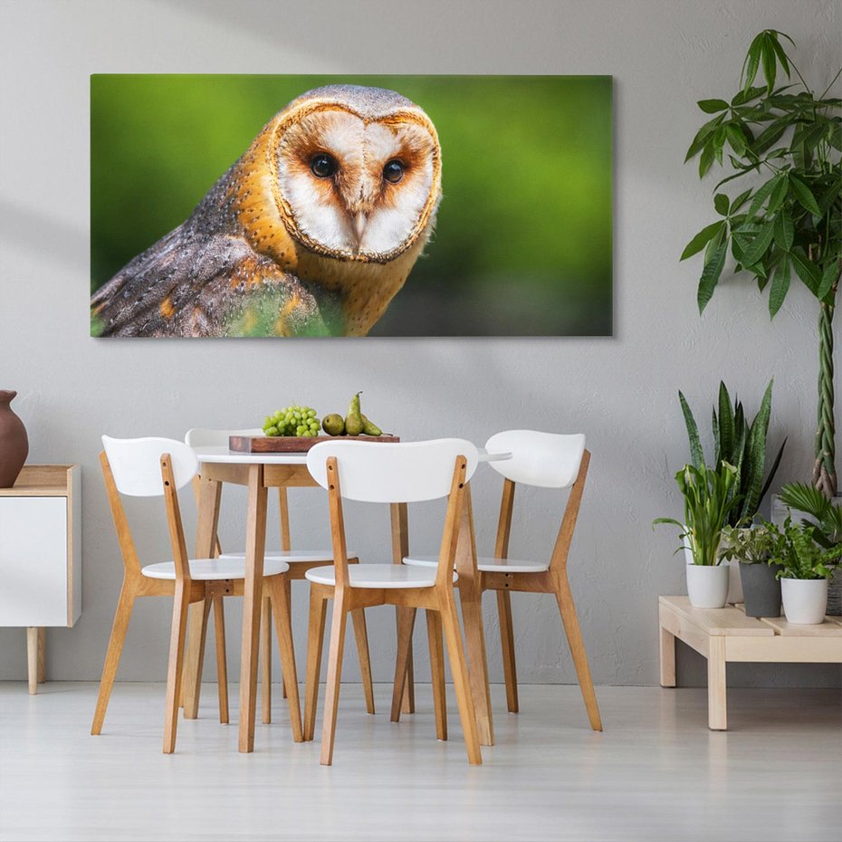 Obraz na płótnie 120x60 - Sowa nocą - sowa, ptak