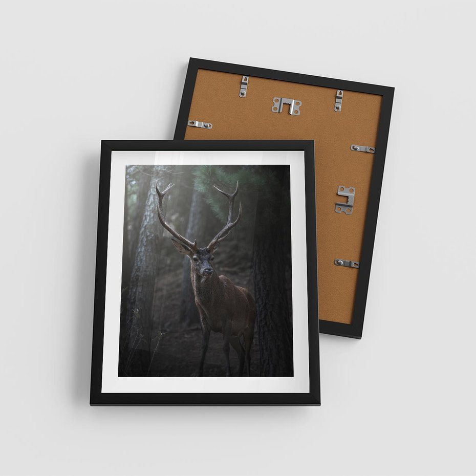 Plakat w ramie 40x50 - Jeleń wśród lasu - jeleń, las - rama czarna
