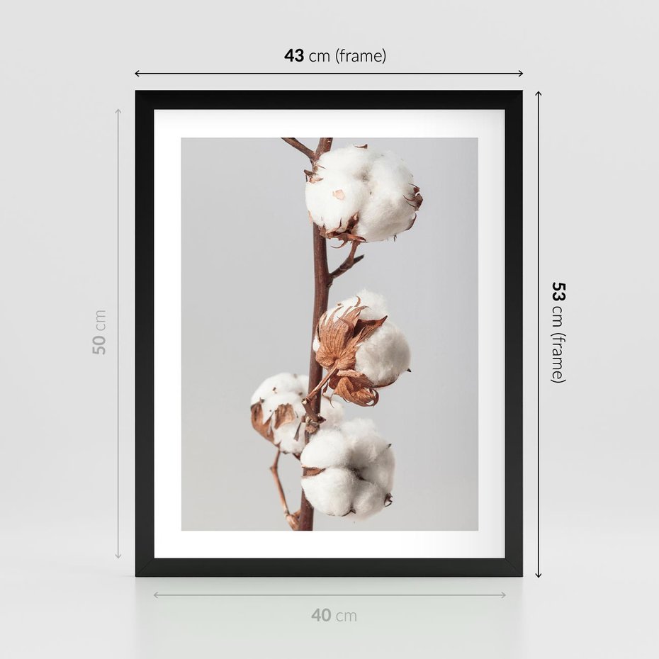 Plakat w ramie 40x50 - Spokojna Gałązka Bawełny - gałązka bawełny, prosta spokojna fotografia - rama czarna
