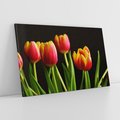 Obraz na płótnie 100x70 - Tulipany w przyrodzie: harmonia kształtów - tulipany, kiwaty