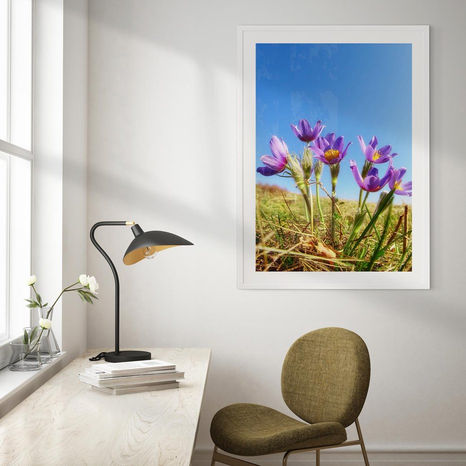 Plakat w ramie 30x40 - Kwiatowa siła łąki - kwiaty, łąka - rama biała