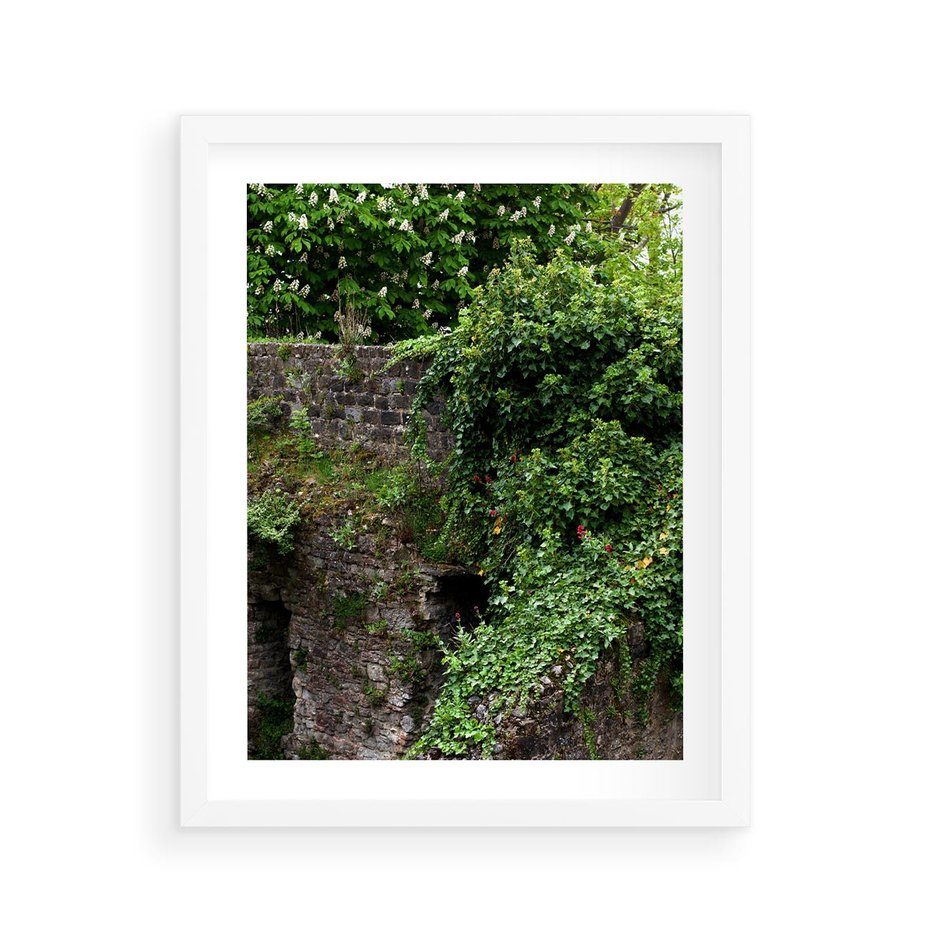 Plakat w ramie 40x50 - Żywiołowa Zieleń - mur, liście - rama biała