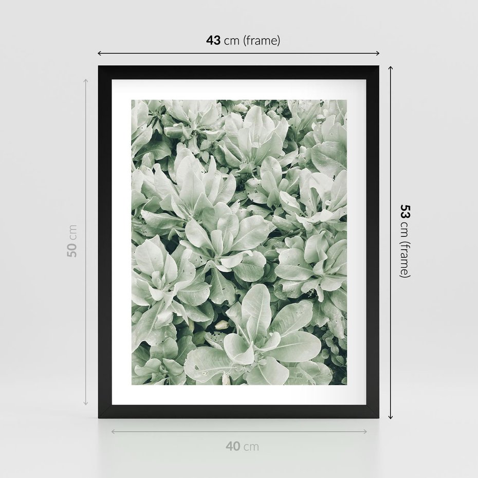 Plakat w ramie 40x50 - Liście w Jasnych Odcieniach Zielonego - liście, jasna zieleń fotografia - rama czarna