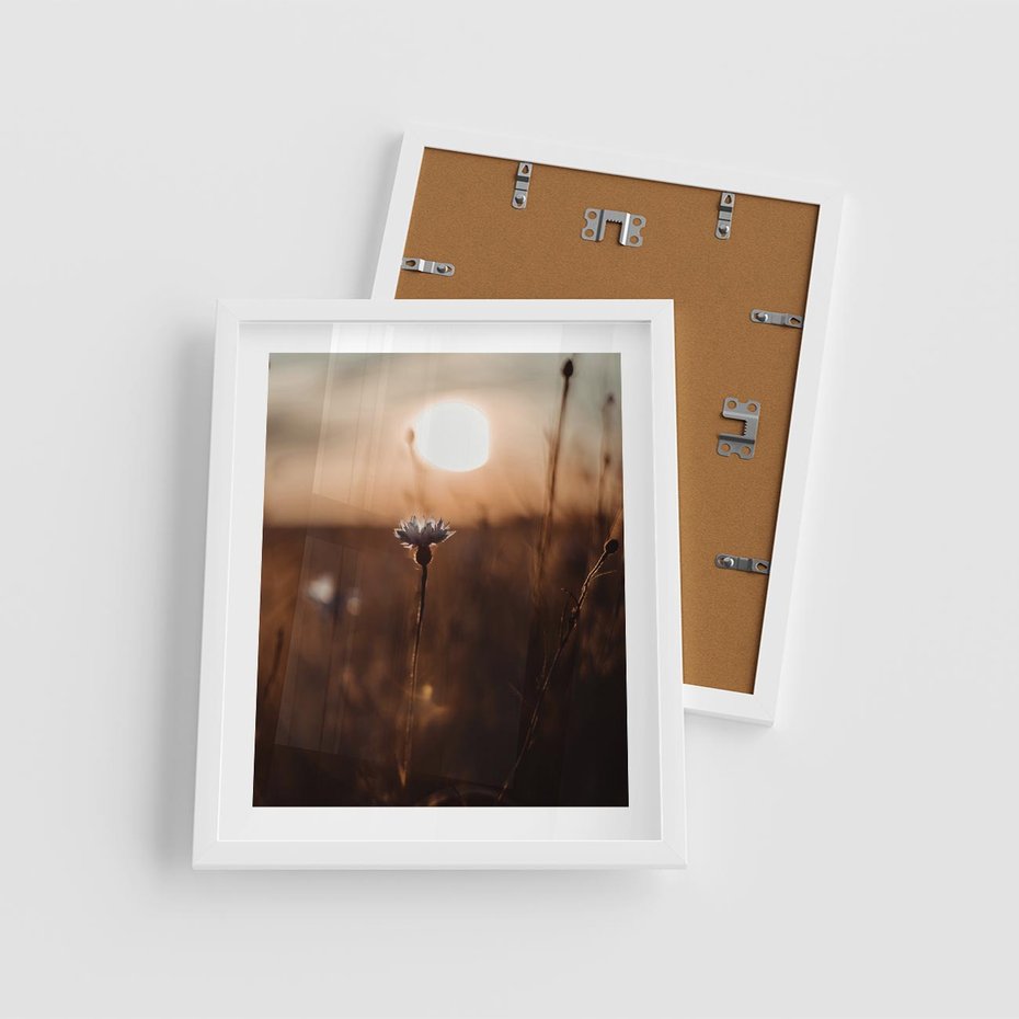 Plakat w ramie 40x50 - Spokój łąki pod zachodem słońca - zachód, słońca - rama biała