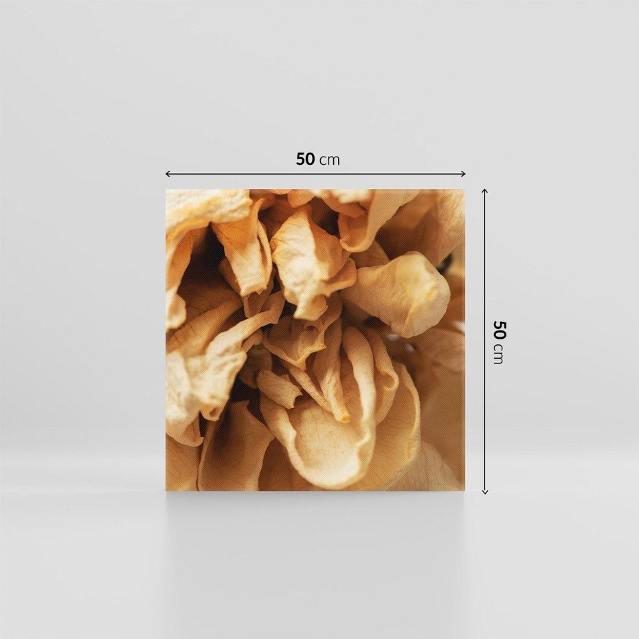 Obraz na płótnie 50x50 - Zjawiskowe zasuszone kwiaty - zasuszone, kwiaty