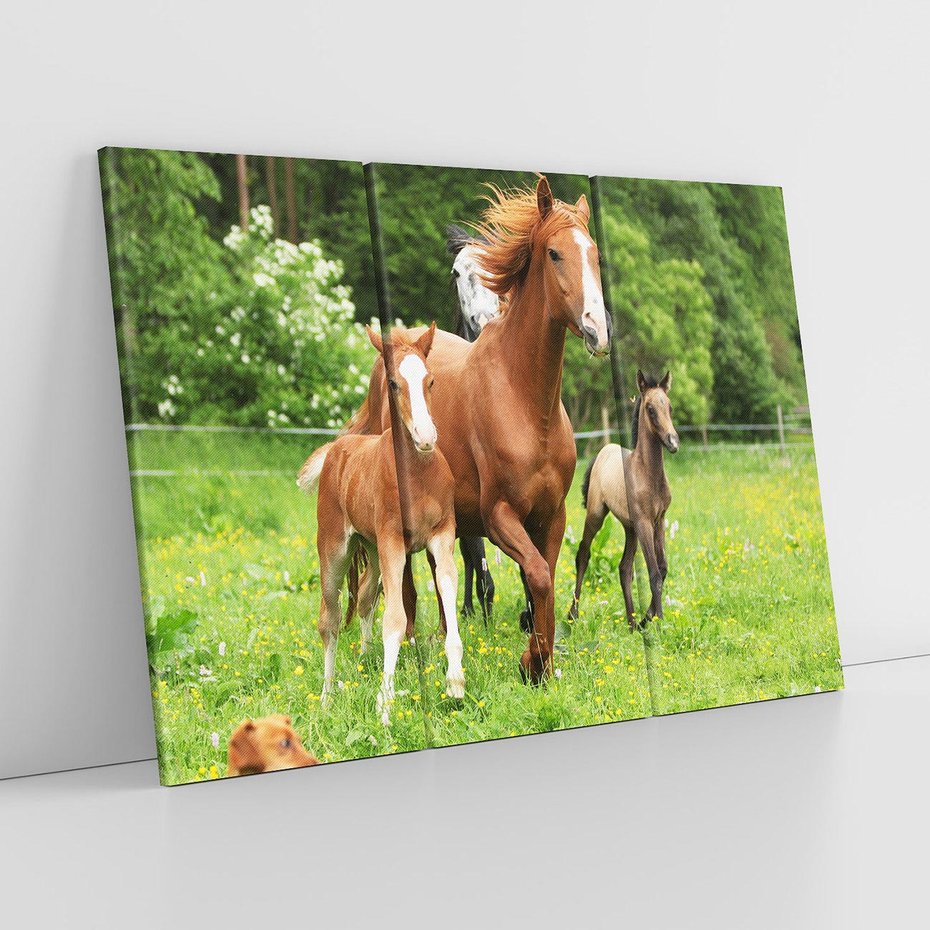 Obraz na płótnie 120x80 - Galopujące konie - konie, galop