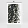 Plakat bez ramy 50x70 - Liść Palmy: Egzotyczny Detal Natury - palma, liść palmy