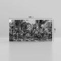 Obraz na płótnie 120x60 - Mroczna Ścieżka Tropików - czarno biała fotografia, ścieżka pośród palm