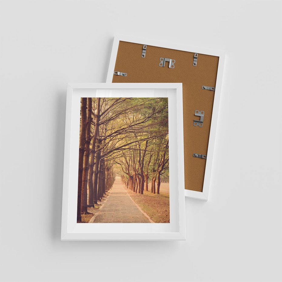 Plakat w ramie 30x40 - Wędrówka między drzewami - droga, drzewa - rama biała