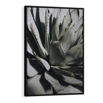Obraz w ramie 50x70 - Sukulenty wśród kaktusów - sukulenty, kaktusy - rama czarna