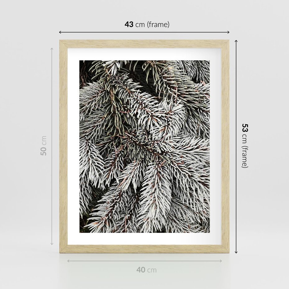 Plakat w ramie 40x50 - Cisza Zimowej Natury - zima, iglaste gałązki - rama drewno