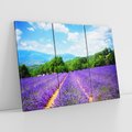 Obraz na płótnie 120x80 - Prowansalska Lawenda - lawenda, prowansja