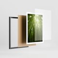 Plakat w ramie 50x70 - Siła Natury - drzewa, las - rama czarna