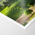 Plakat bez ramy 40x50 - Prowansja: malownicze winnice w kraju Włoch - Prowansja, Włochy