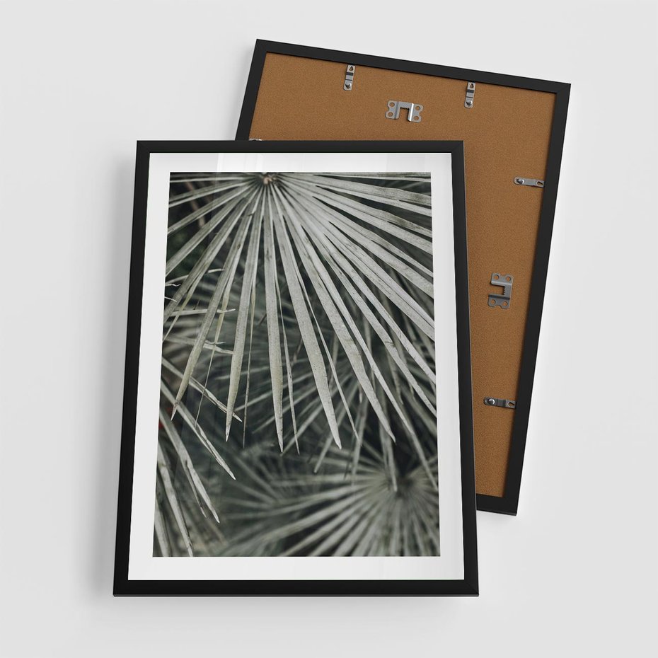 Plakat w ramie 50x70 - Ujęcie Tropikalnej Natury - palmy, liście palmy - rama czarna