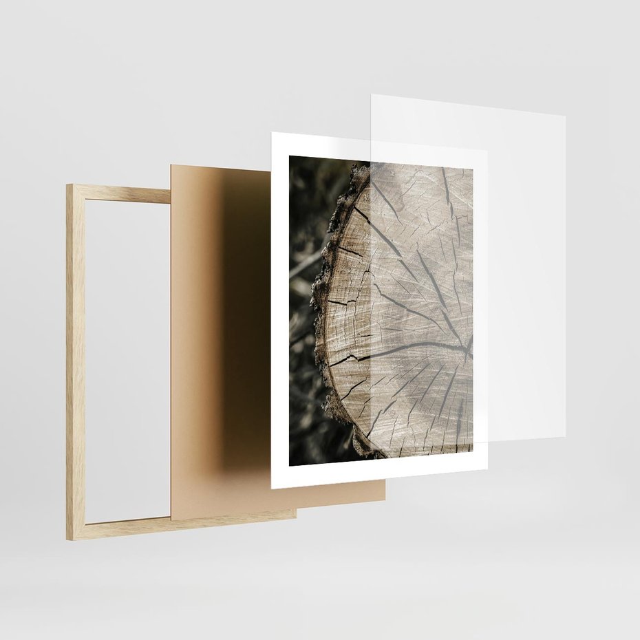 Plakat w ramie 40x50 - Wnętrze Natury - pień, przecięty pień - rama drewno