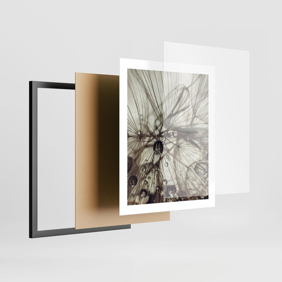 Plakat w ramie 40x50 - Lekkie dmuchawce - dmuchawce, krople - rama czarna