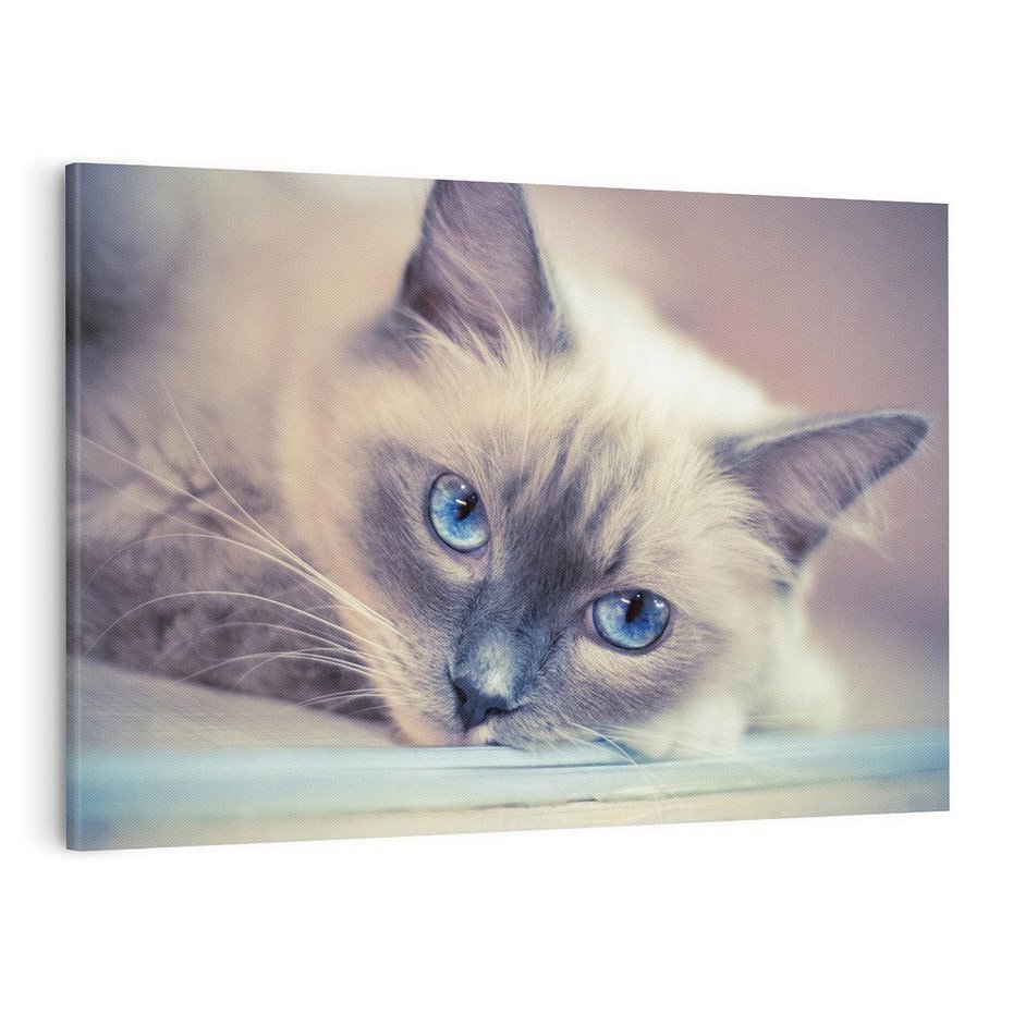 Obraz na płótnie 100x70 - Kotek w artystycznym stylu - kot, kotek