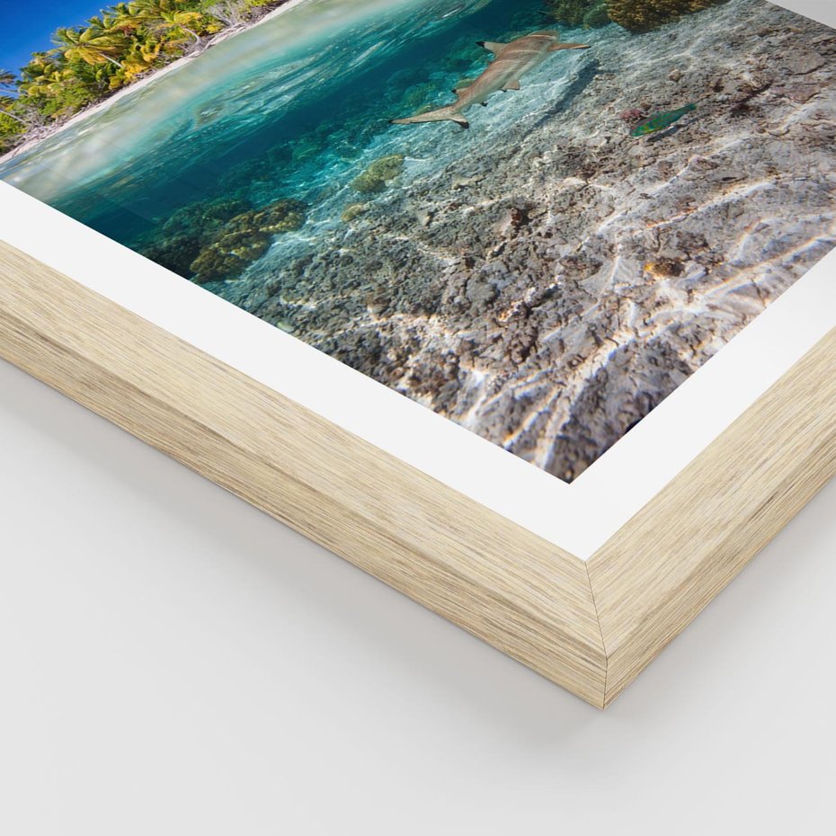 Plakat w ramie 50x70 - Tropikalne Morze i Kolorowa Rafa - tropikalne, morze - rama drewno