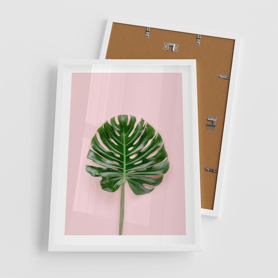Plakat w ramie 50x70 - Egzotyczna Roślinność - liście, monstera - rama biała