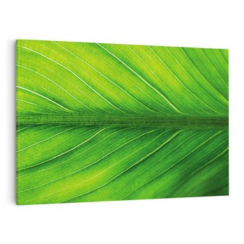 Obraz na płótnie 100x70 - Abstrakcja: interpretacje w liściach - liść, abstrakcja