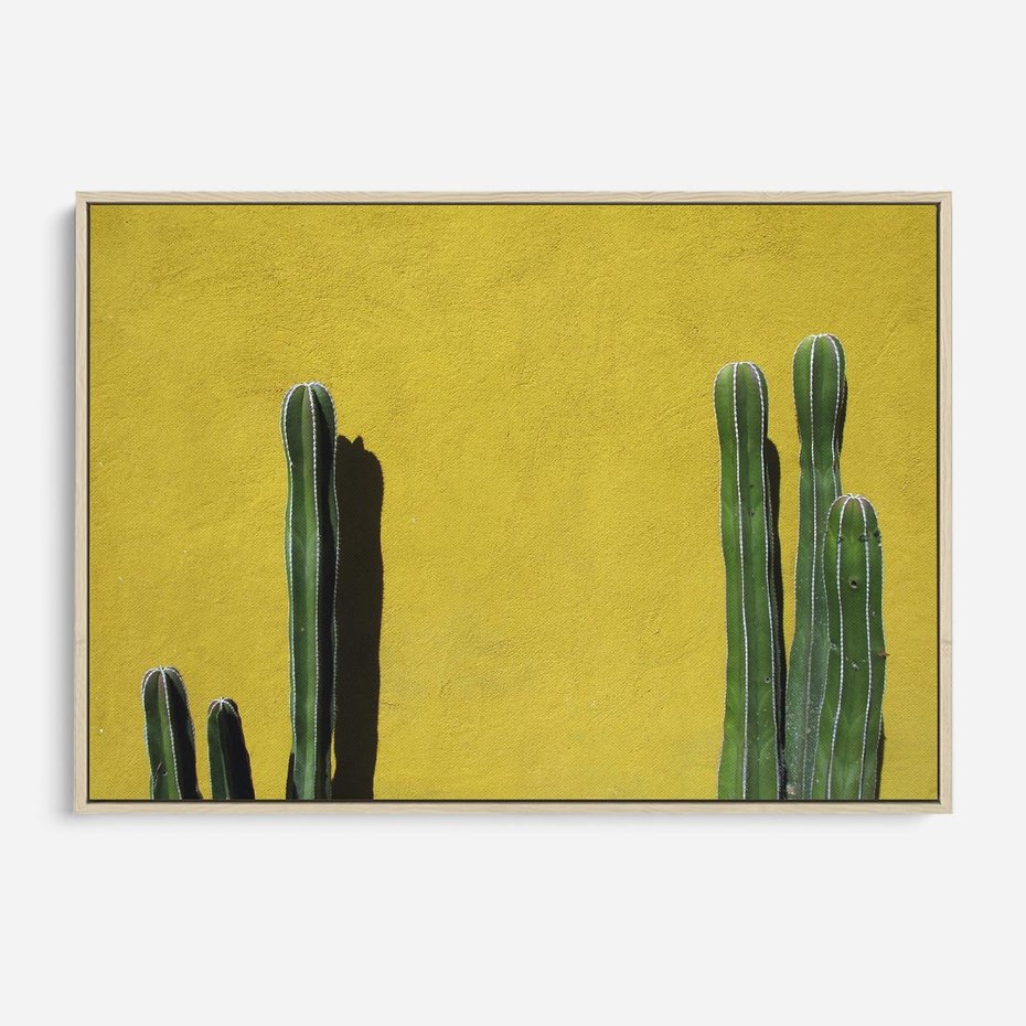 Obraz w ramie 100x70 - Refleksje w roślinnym odbiciu - zielone kaktusy na tle żółtej ściany, soczyste kolory - rama drewno