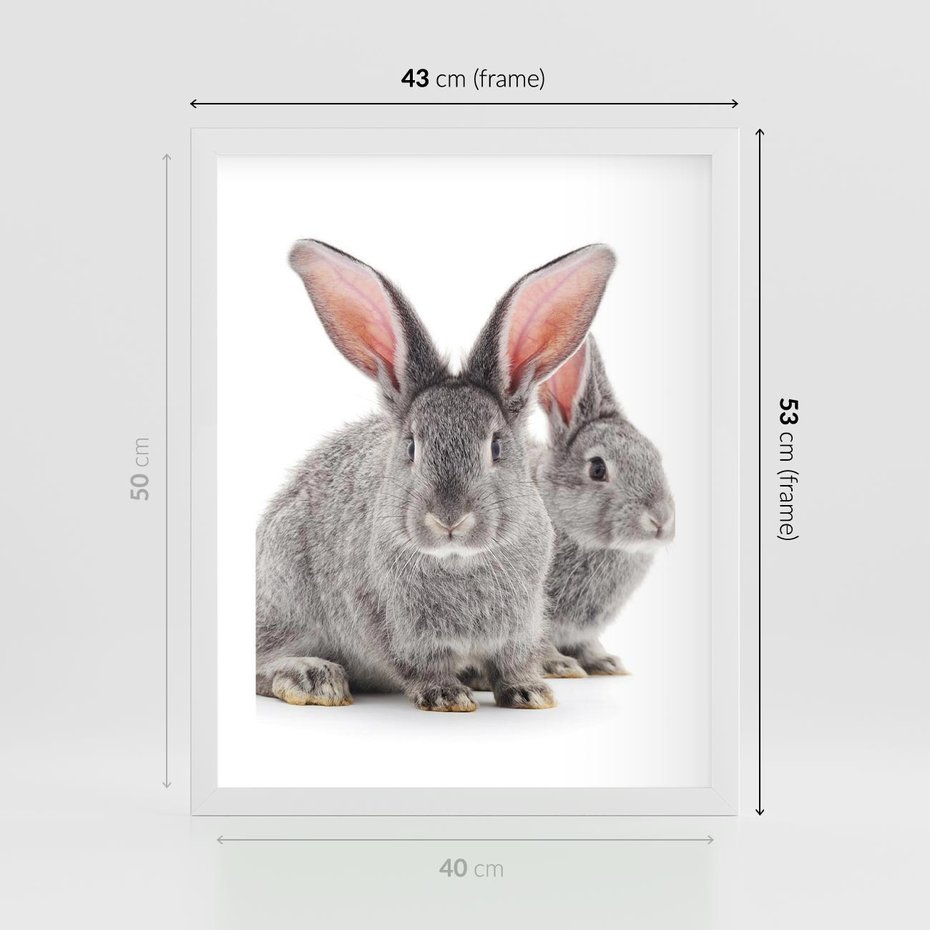 Plakat w ramie 40x50 - Uroczy królik wśród natury - królik, zając - rama biała