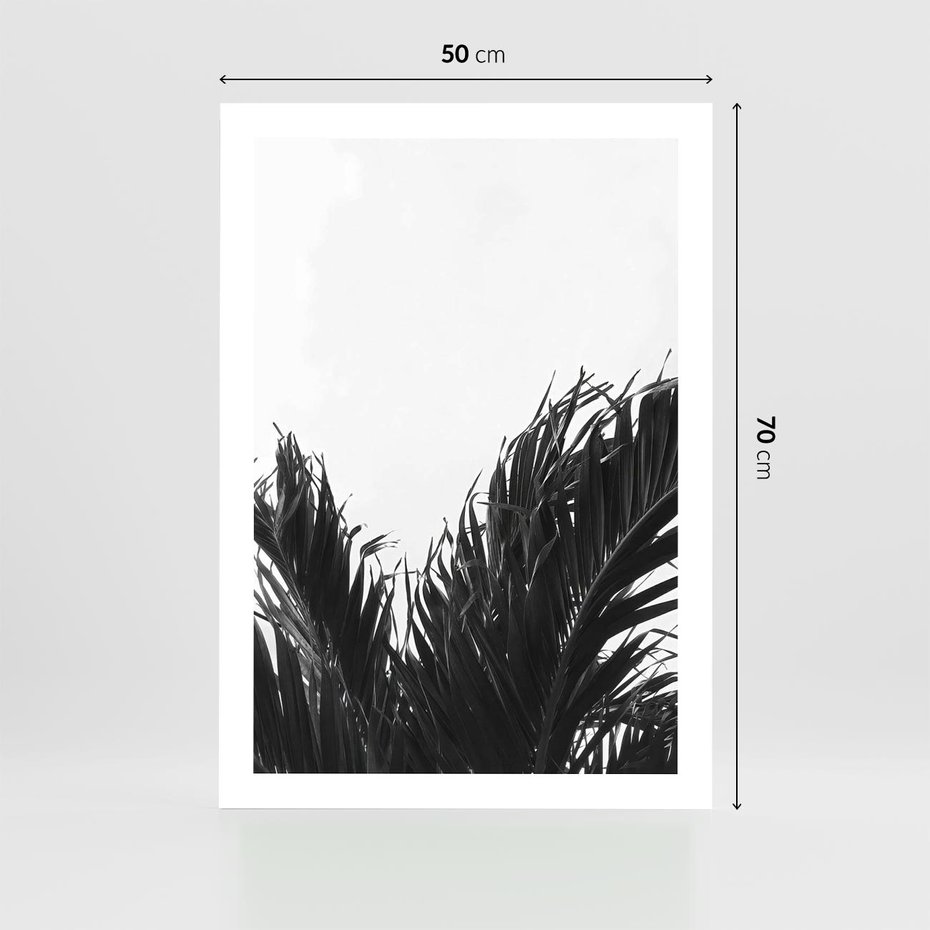 Plakat bez ramy 50x70 - Tropikalna Uroda w Czerni i Bieli - fotografia czarno biała, liście palmy