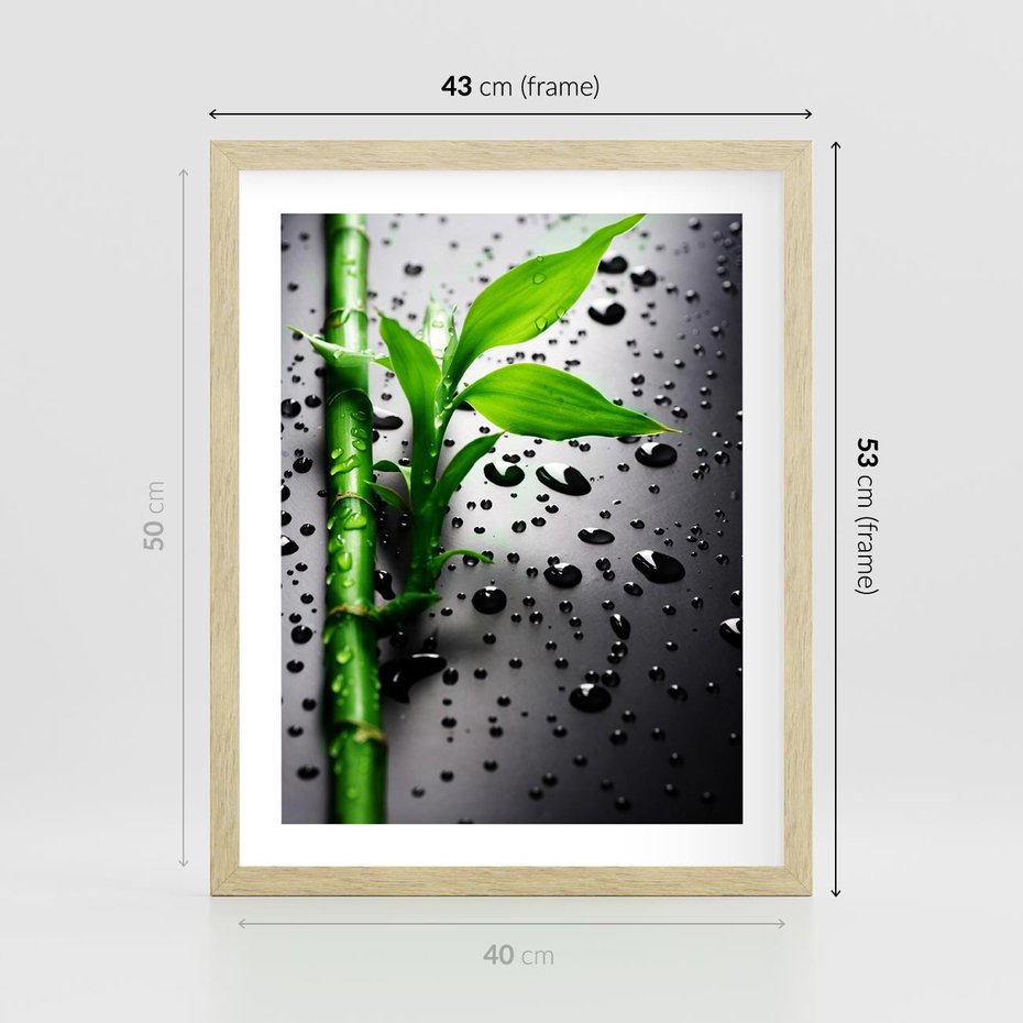 Plakat w ramie 40x50 - Bambusowa Harmonia - bambus, liście - rama drewno
