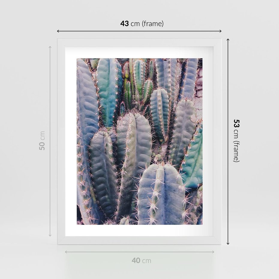 Plakat w ramie 40x50 - Kaktusowy Raj - kaktusy, dużo kaktusów - rama biała