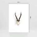 Plakat bez ramy 21x30 - Minimalistyczne Poroże Jelenia - poroże jelenia na ścianie, minimalizm