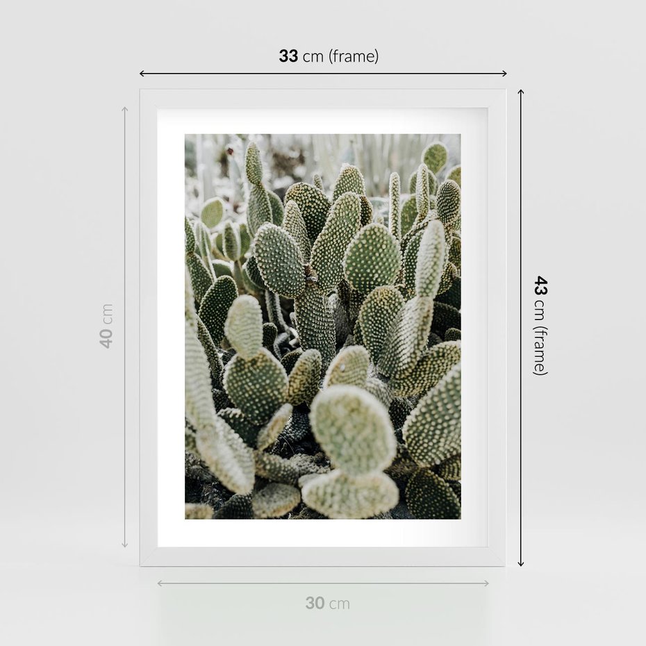 Plakat w ramie 30x40 - Kaktusowa Harmonia - kaktusy, fotografia - rama biała