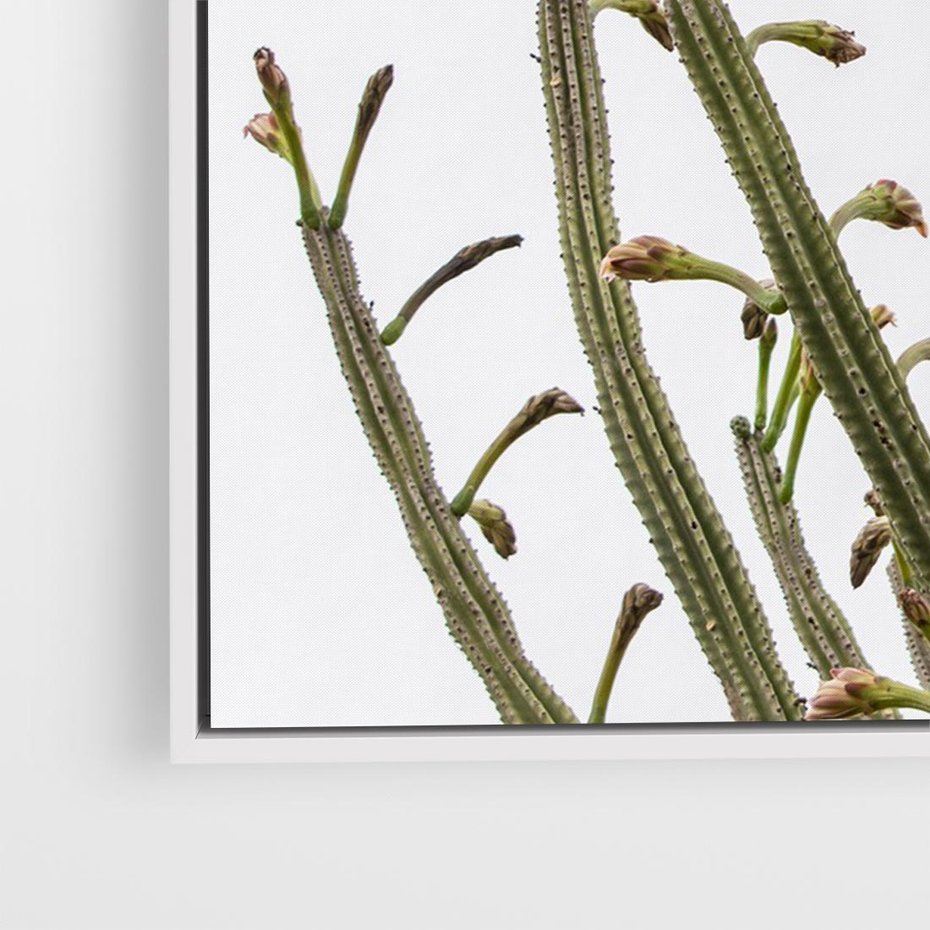 Obraz w ramie 120x80 - Ekskluzywna Roślinność - kaktusy, liście - rama biała