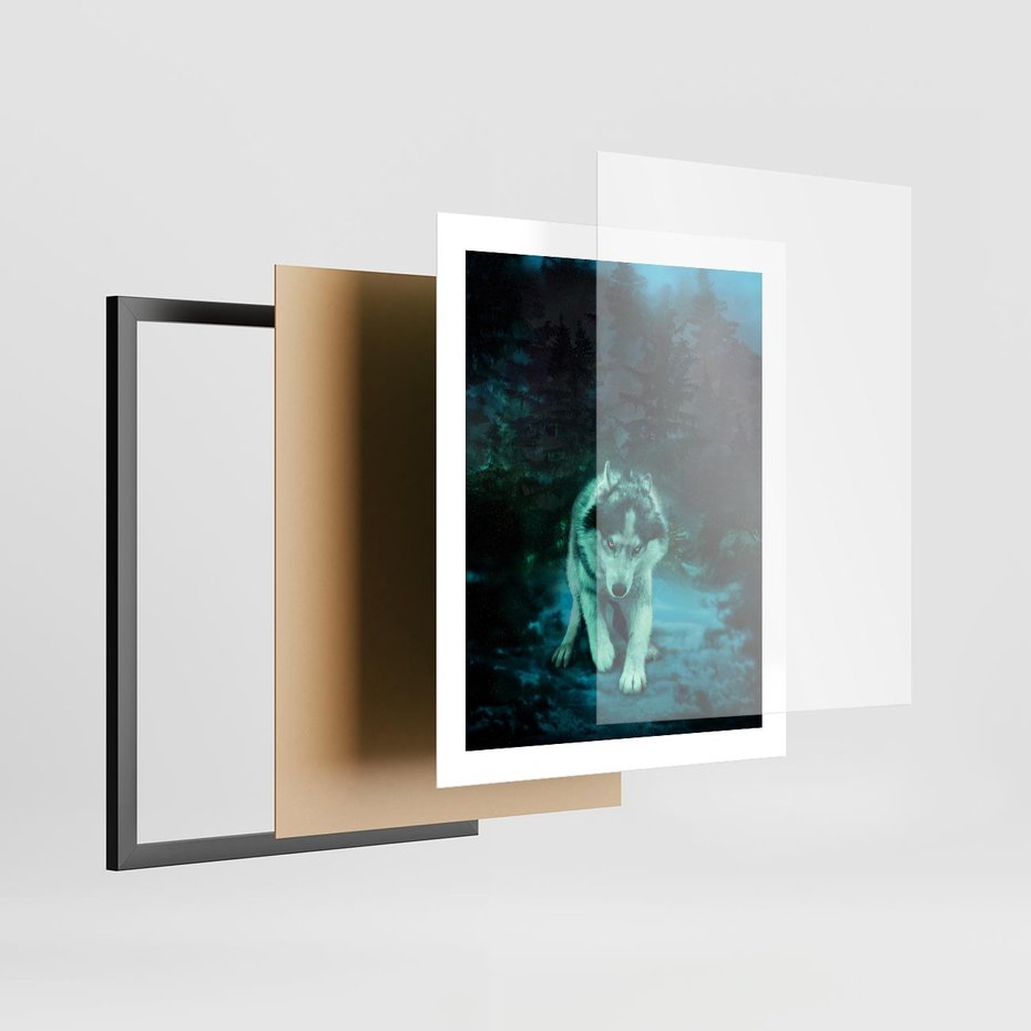 Plakat w ramie 40x50 - Siła i wdzięk natury - wilk, husky - rama czarna