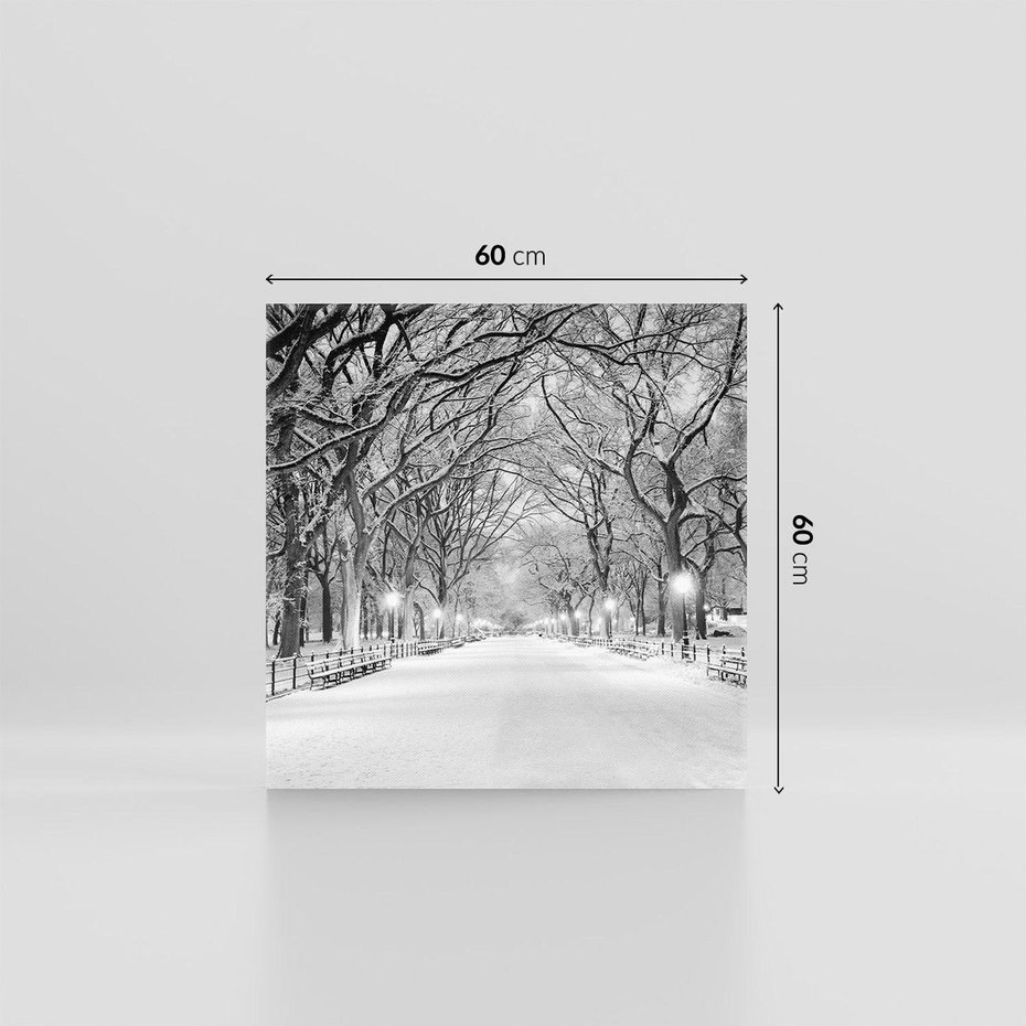 Obraz na płótnie 60x60 - cisza wśród drzew - zima, park