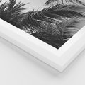 Plakat w ramie 40x50 - Palmy w Monochromii - palmy, tropikalne palmy - rama biała