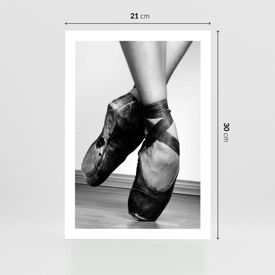 Plakat bez ramy 21x30 - Taniec Zmysłów - artystyczne zdjęcie, odcienie szarości