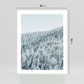 Plakat bez ramy 40x50 - Cicha Zima - las, zima
