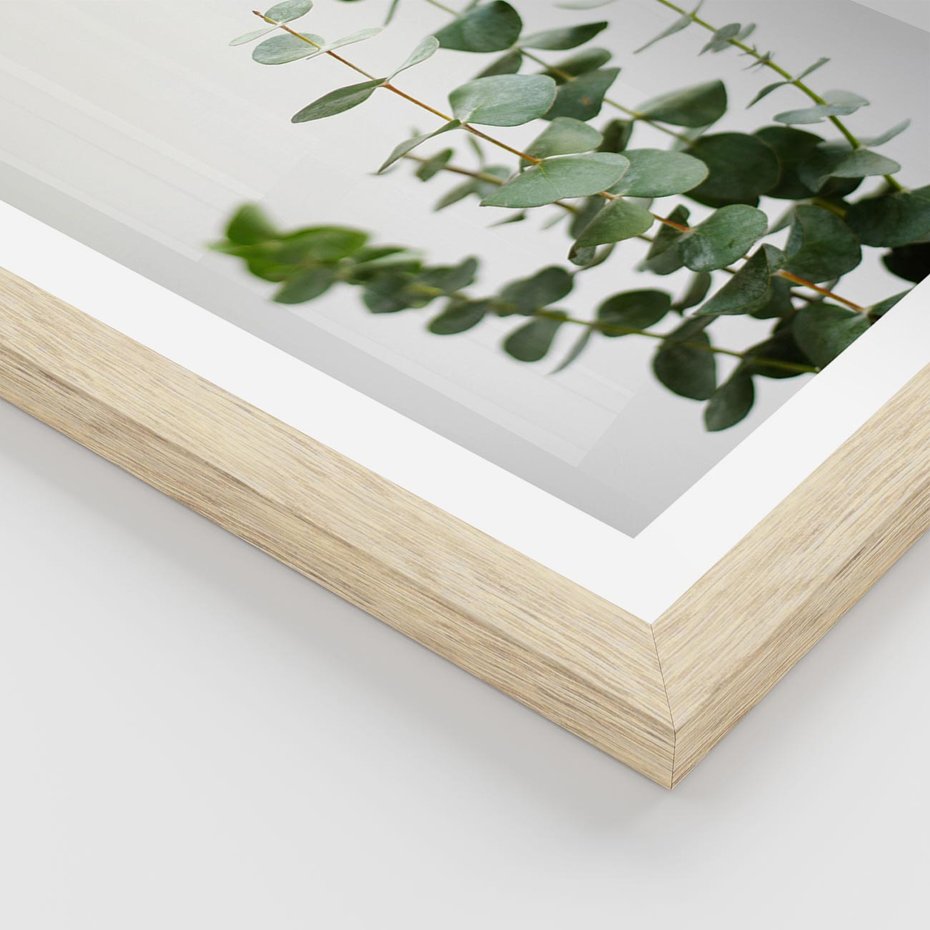 Plakat w ramie 40x50 - Żywa eukaliptusowa zieleń - eukaliptus, zielone - rama drewno