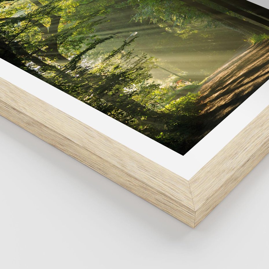 Plakat w ramie 40x50 - harmonia natury - las, drzewa - rama drewno