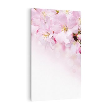 Obraz na płótnie 80x120 - Kwitnąca Wiśnia - kwiaty, kwitnącej