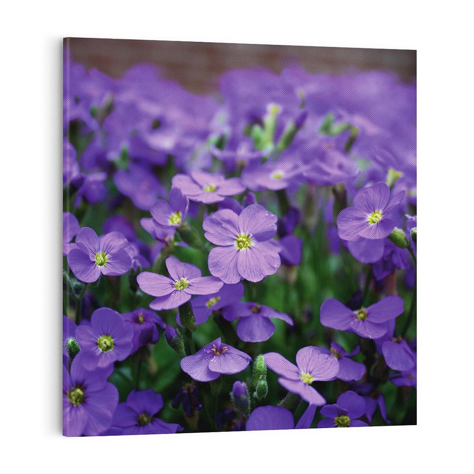 Obraz na płótnie 70x70 - Kwiatowe uniesienia magia natury - kwiat, kwiaty